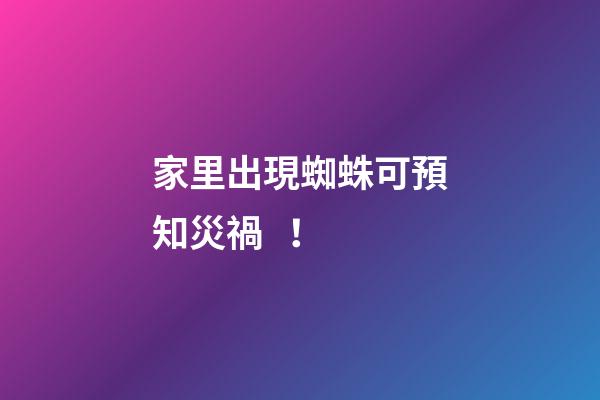 家里出現蜘蛛可預知災禍！